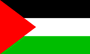 Palistine Flag